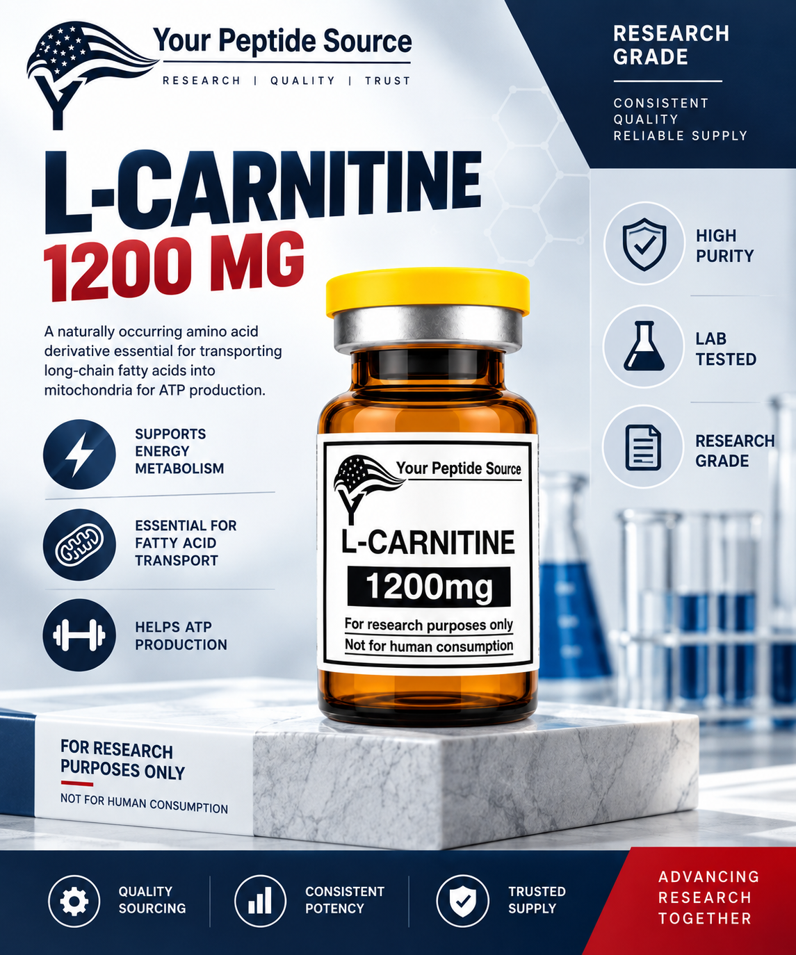L-Carnitine 1200mg | Research Compound