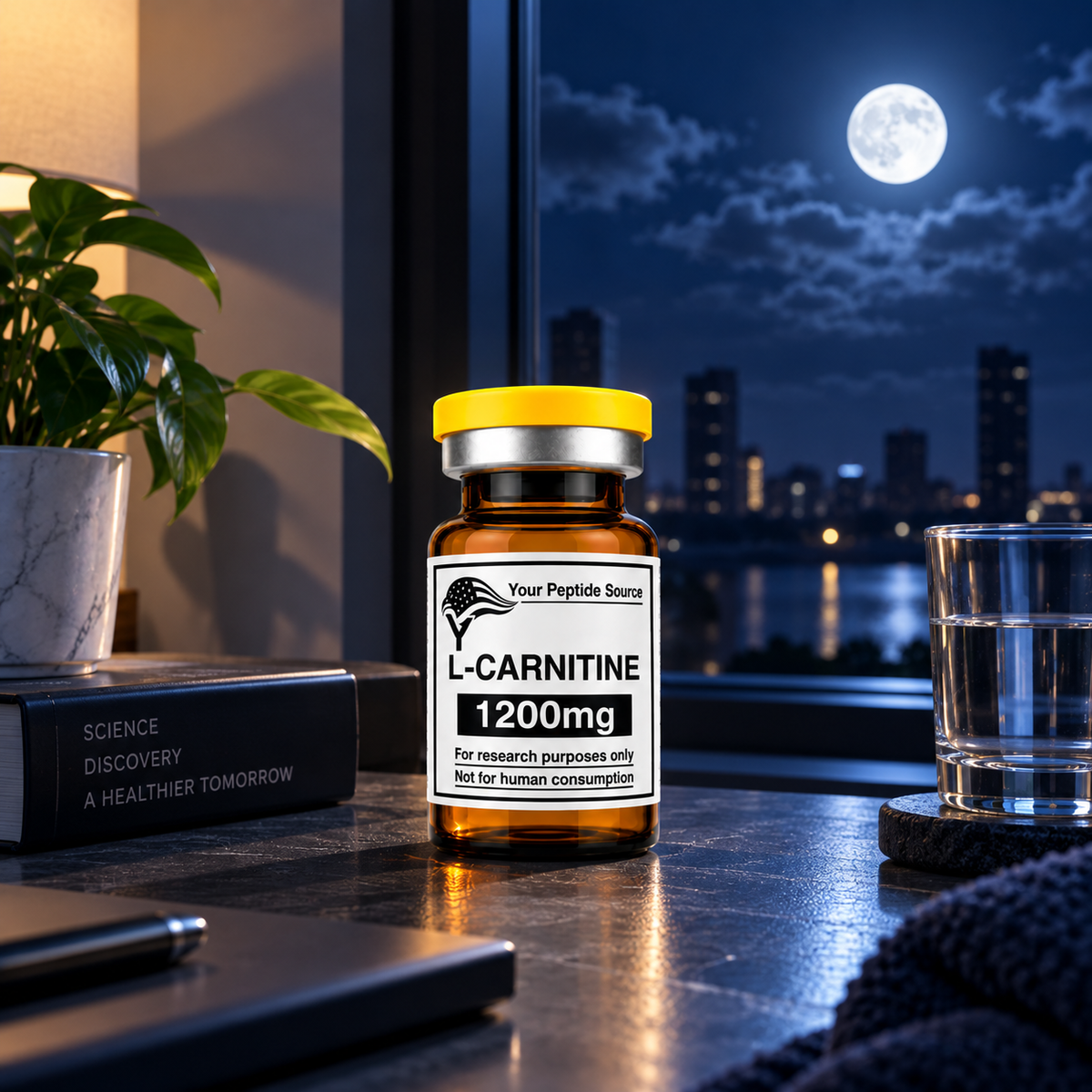 L-Carnitine 1200mg | Research Compound
