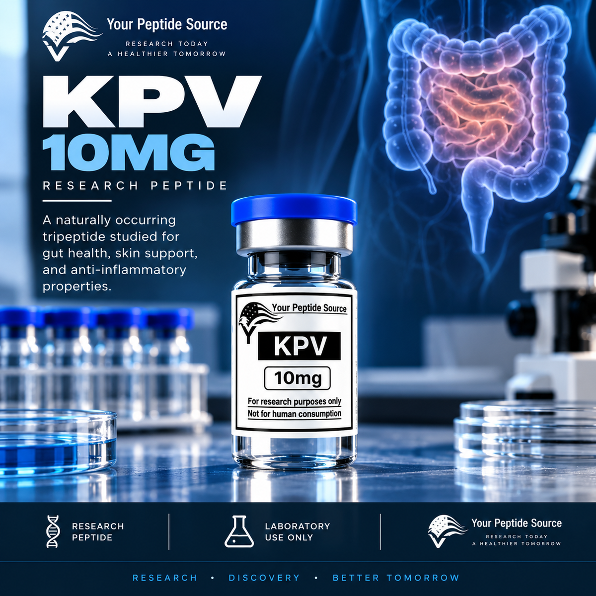 KPV 10mg | Research Peptide